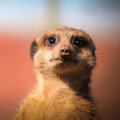 How to stay up to date with marketing trends